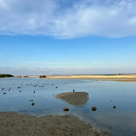 Acogedor En La Playa